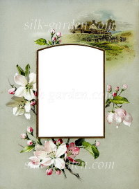 Принт Frame-6