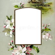 Принт Frame-6 - Принт Frame-6