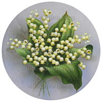 Принт Цветы в круге-13