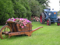 Принт Тачка с цветами-19