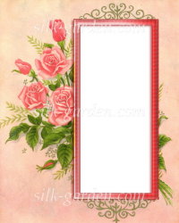 Принт Frame-20