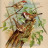 Принт BaEd-4 Принт BaEd-4