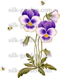 Переводной рисунок 5