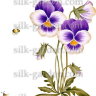 Переводной рисунок 5