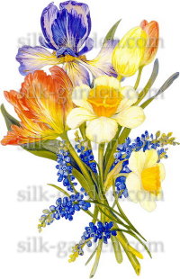 Переводной рисунок 8