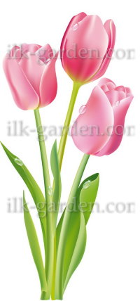Переводной рисунок 18