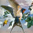 Принт BaEd-17 Принт BaEd-17