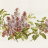 Принт Панорама-37 Принт Панорама-37