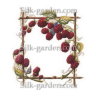 P-Ris-Berry-4