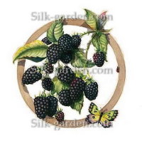 P-Ris-Berry-5