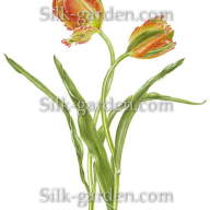 P-Ris-TULIP-2 - P-Ris-TULIP-2