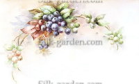 P-Ris-Berry-10