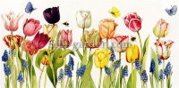 P-Ris-TULIP-3