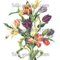 P-Ris-TULIP-4 - P-Ris-TULIP-4