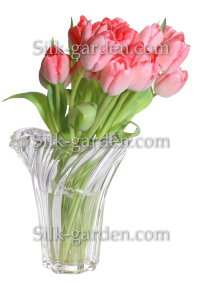 P-Ris-TULIP-5