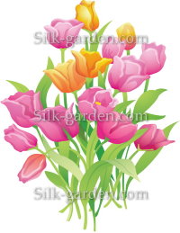 P-Ris-TULIP-7-2