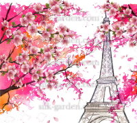 Принт Paris-4