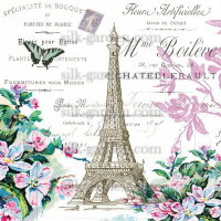 Принт Paris-6