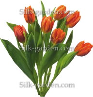 P-Ris-TULIP-13
