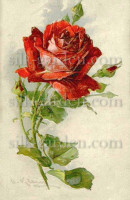 Принт K-Kl-200