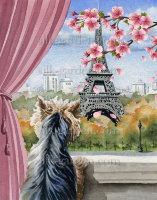 Принт Paris-38