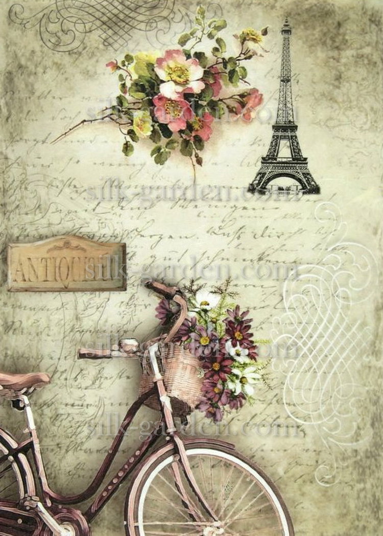 Принт Paris-39