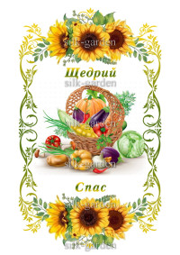Принт Рушник на СПАСА /схема для вишивки - 528