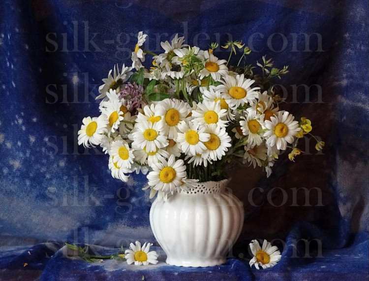 Принт Ромашки РО-184
