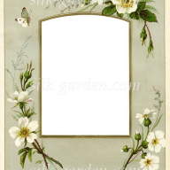 Принт Frame-32 - Принт Frame-32