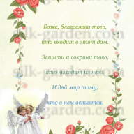 Принт PM - 63 - Принт PM - 63