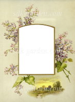 Принт Frame-3