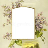 Принт Frame-3 - Принт Frame-3