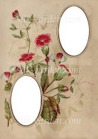Принт Frame-4