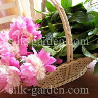 Принт ПН-36 - Принт ПН-36