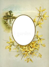 Принт Frame-5