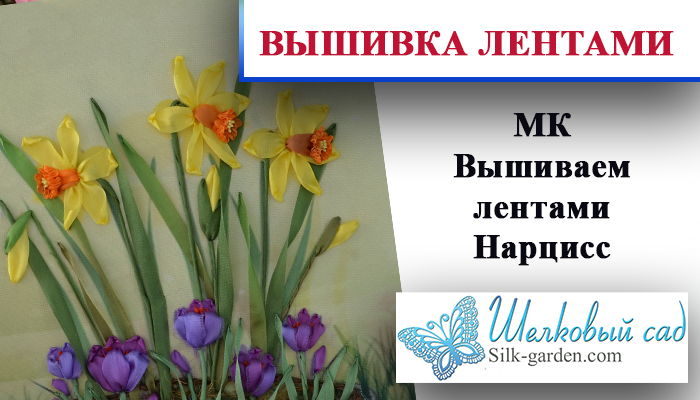 Нарцисс (видео)
