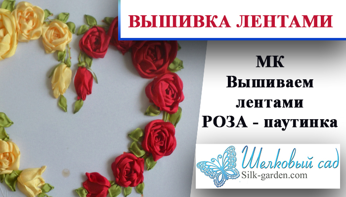 Роза паутинка (видео)